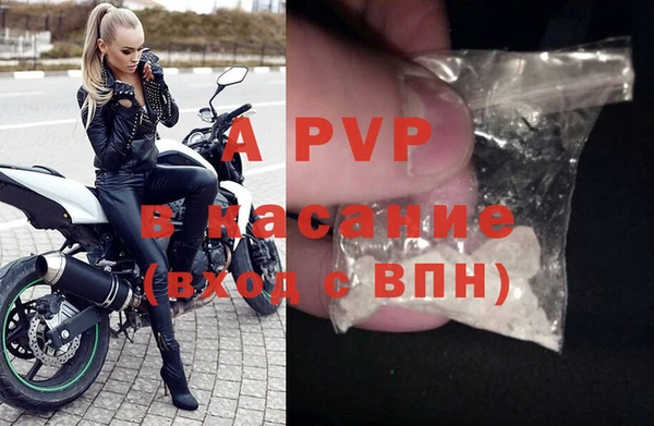 PSILOCYBIN Белокуриха