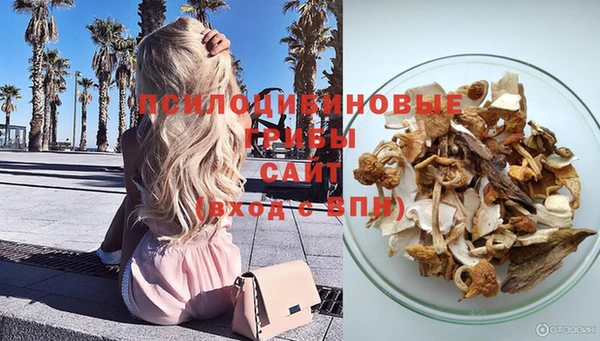 стафф Беломорск