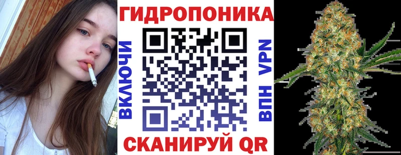 Конопля OG Kush Курильск